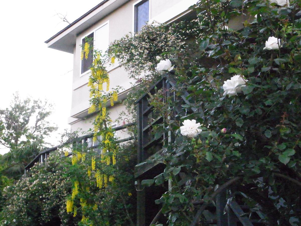 Chiisana Hotel Hanaikada Ito  Exterior photo